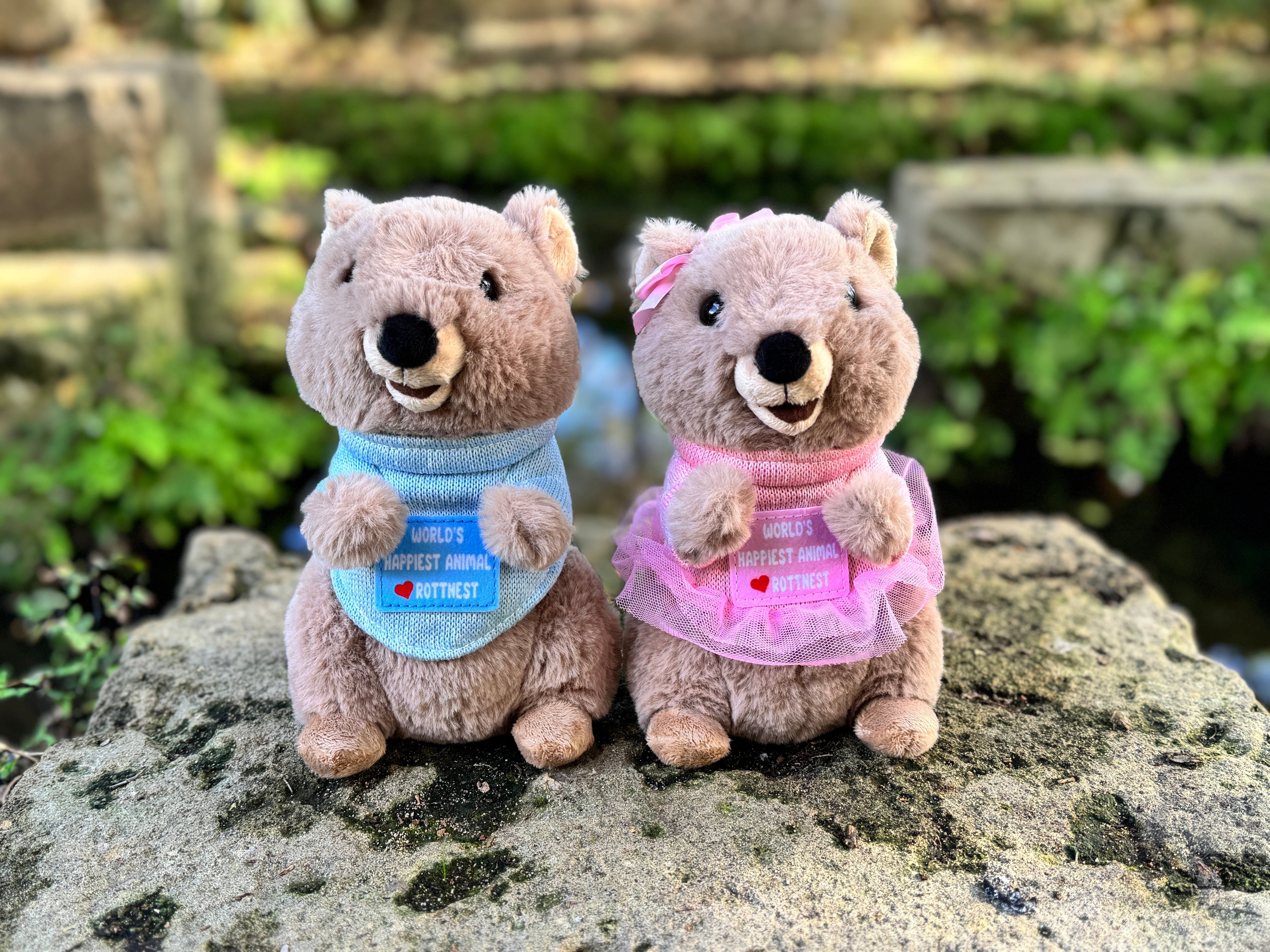 Charlie and Marlie Quokka plush toys from Perth inspired by Rottnest Island’s happiest animal on Earth – cute Australian souvenirs from Western Australia.