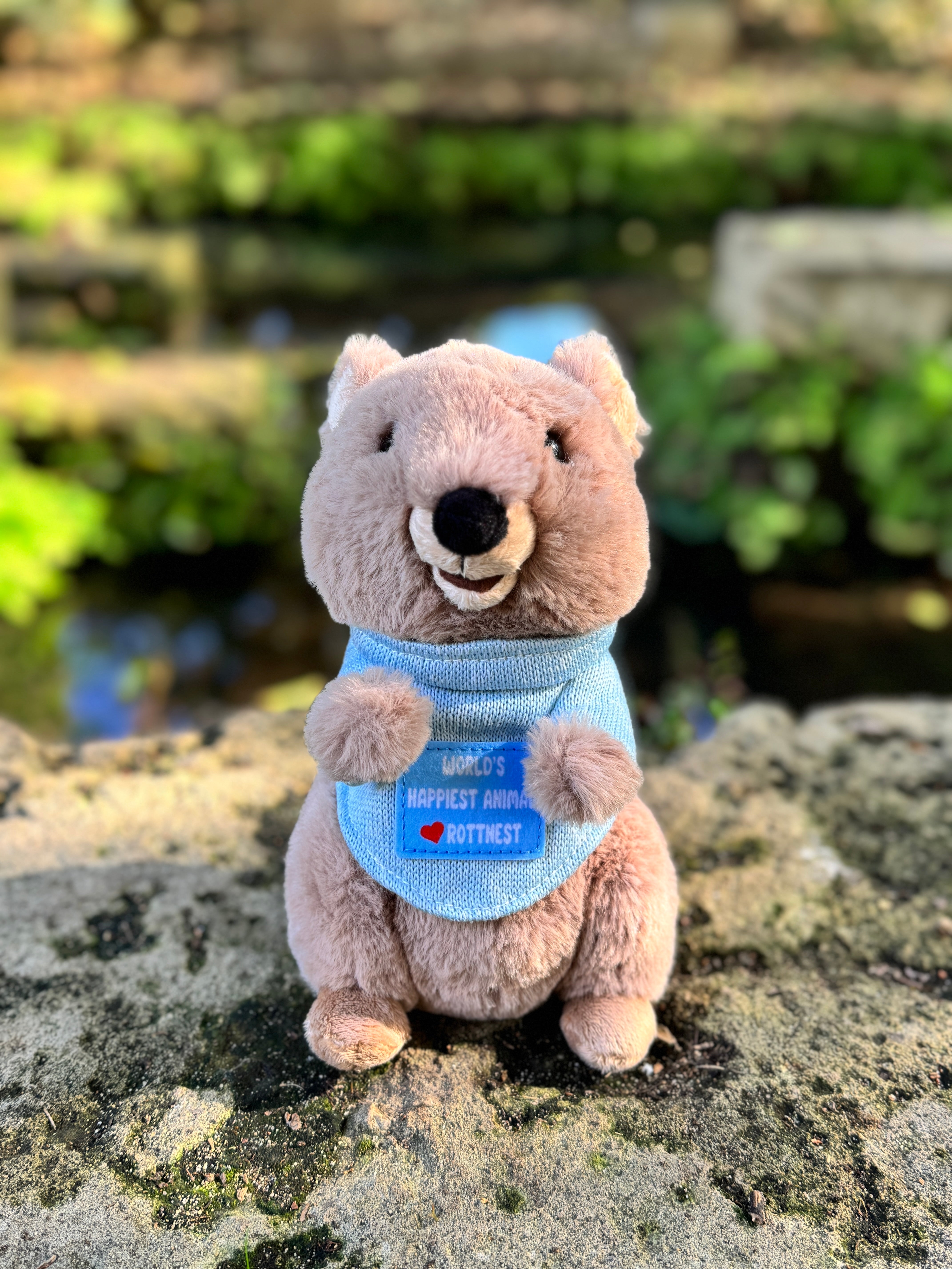 Charlie the Quokka plush toy from Perth inspired by Rottnest Island’s happiest animal on Earth – adorable Australian souvenir plush from Western Australia.