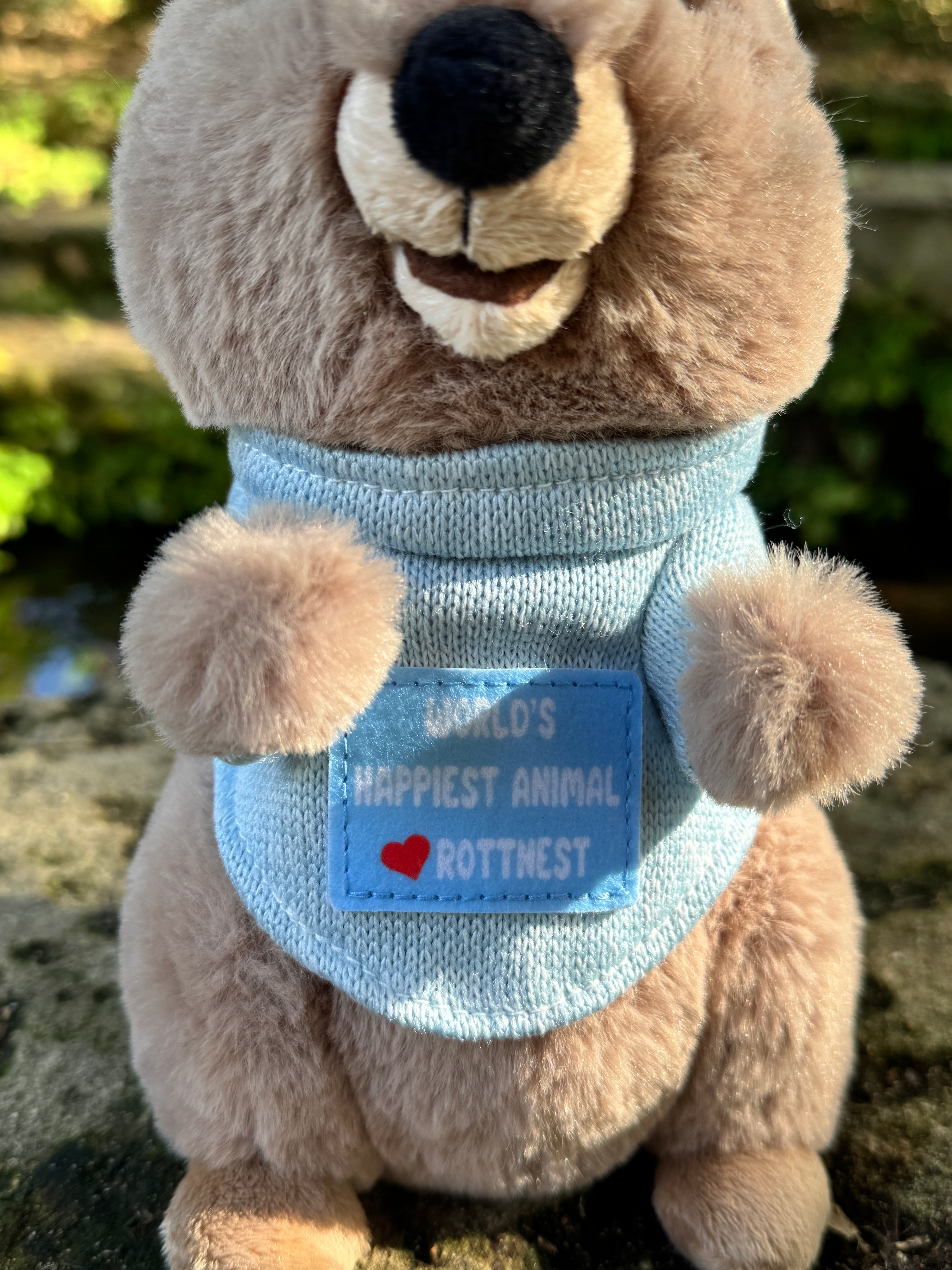 Close-up of Quokka plush toy with “World’s Happiest Animal Love Rottnest” design – adorable Australian souvenir from Perth, Western Australia.