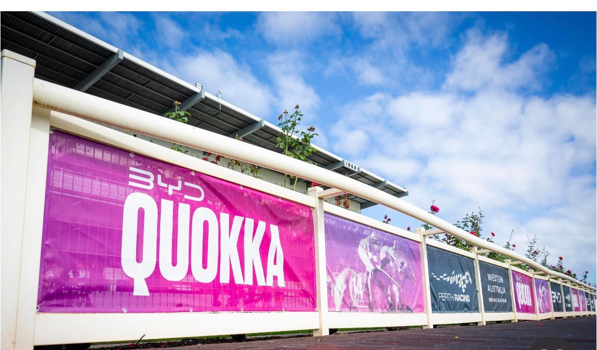 Rottnest Quokka Perth Racing