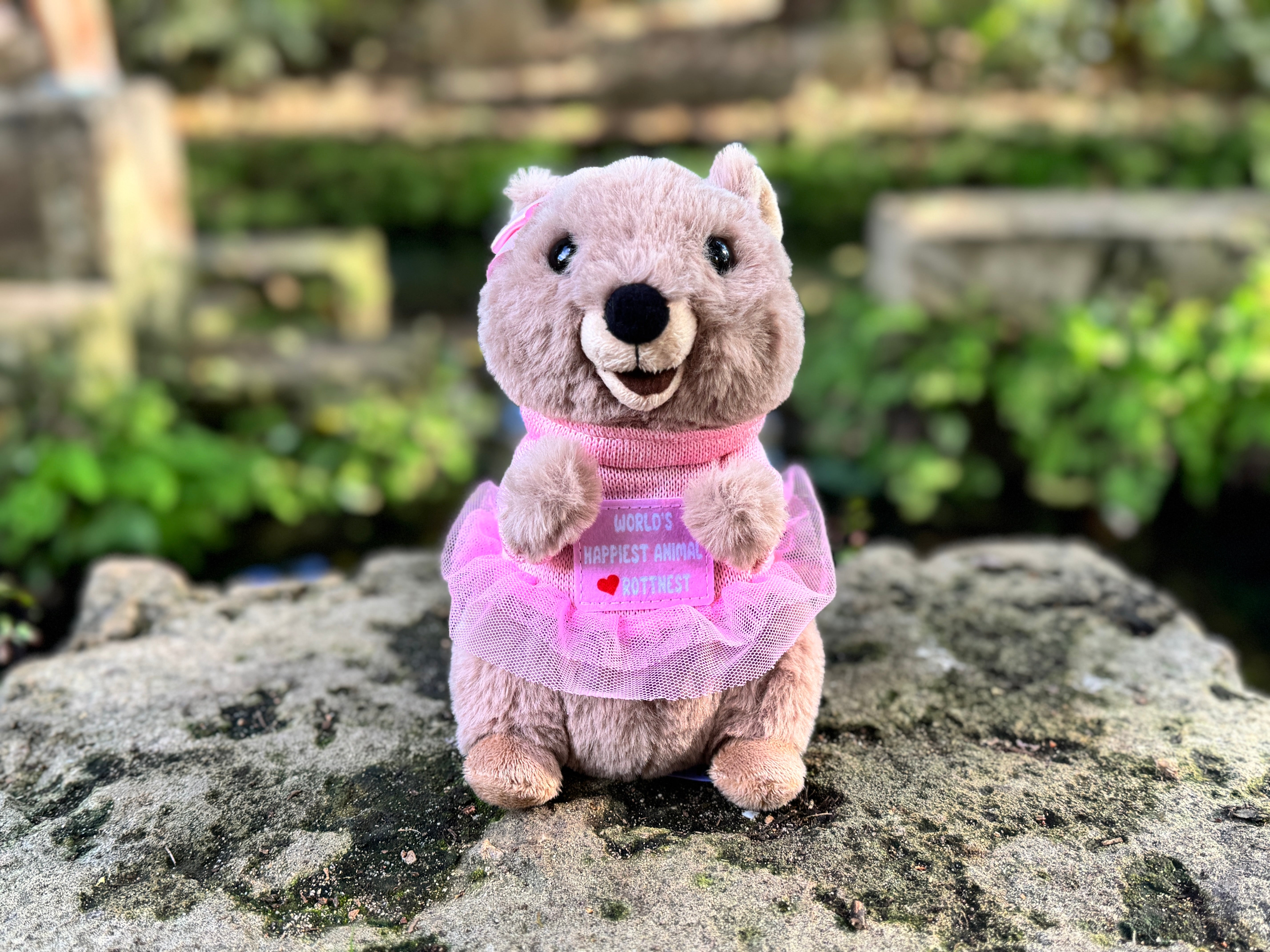 Marlie the Quokka plush toy from Perth looking extra cute – inspired by Rottnest Island’s happiest animal on Earth, a perfect Australian souvenir.