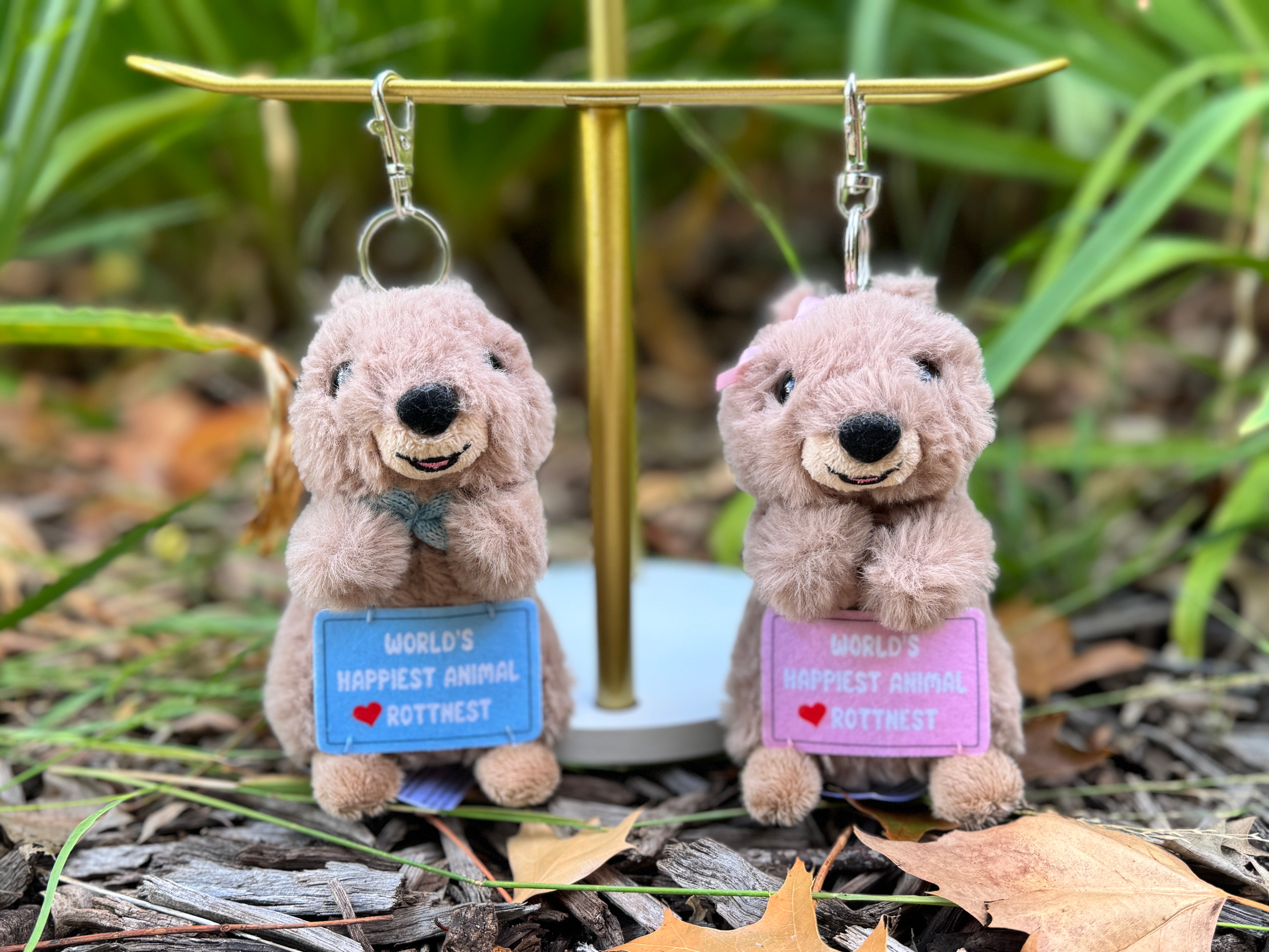 Boy and girl Quokka keyrings from Perth inspired by Rottnest Island’s happiest animal on Earth – cute Australian plush souvenirs and gifts.
