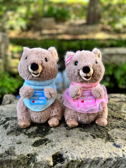 Charlie and Marlie Quokka plush toys from Perth inspired by Rottnest Island’s happiest animal on Earth – cute Australian souvenirs from Western Australia.