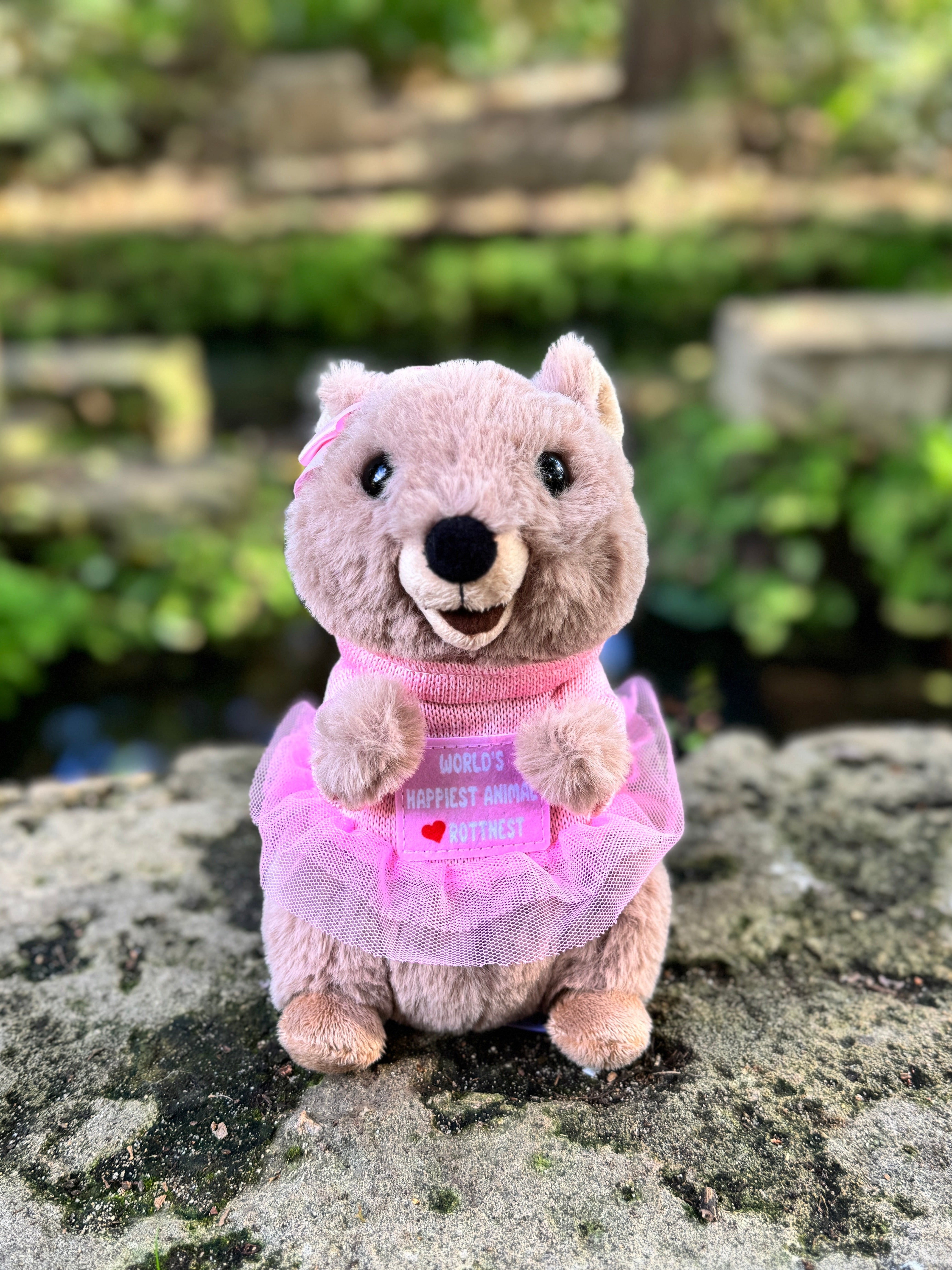 Marlie the Quokka plush toy from Perth inspired by Rottnest Island’s happiest animal on Earth – cute Australian souvenir from Western Australia.