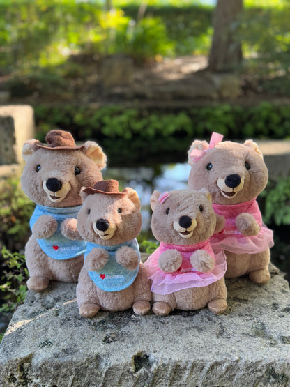 Family of Quokka plush toys featuring 20cm and 25cm boy and girl quokkas from Perth – inspired by Rottnest Island’s happiest animal on Earth, adorable Australian souvenirs.