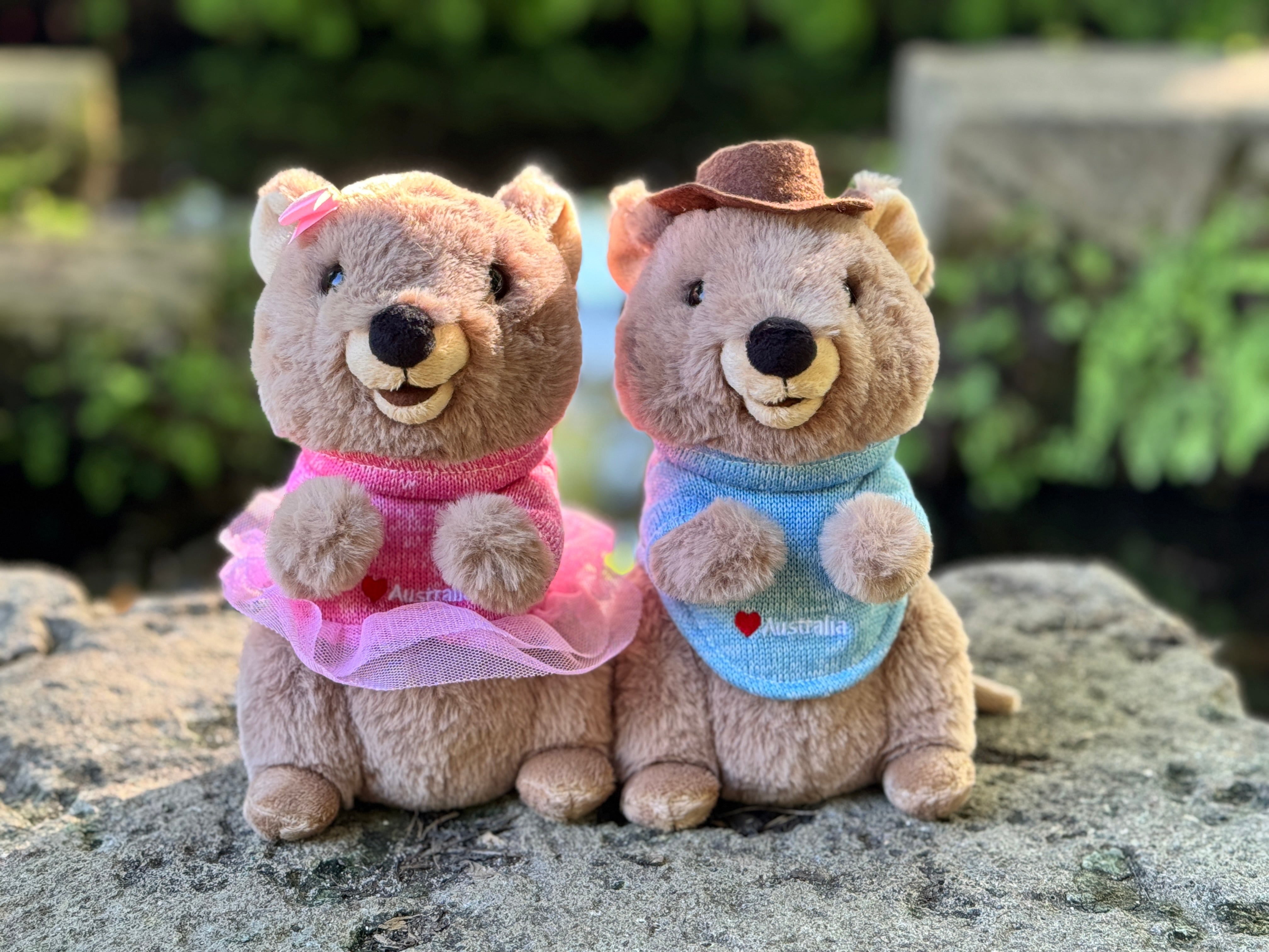 Marlie the Quokka - 20cm (Medium)