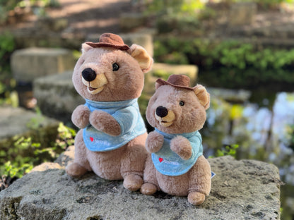 Charlie the Quokka - 20cm (Medium)