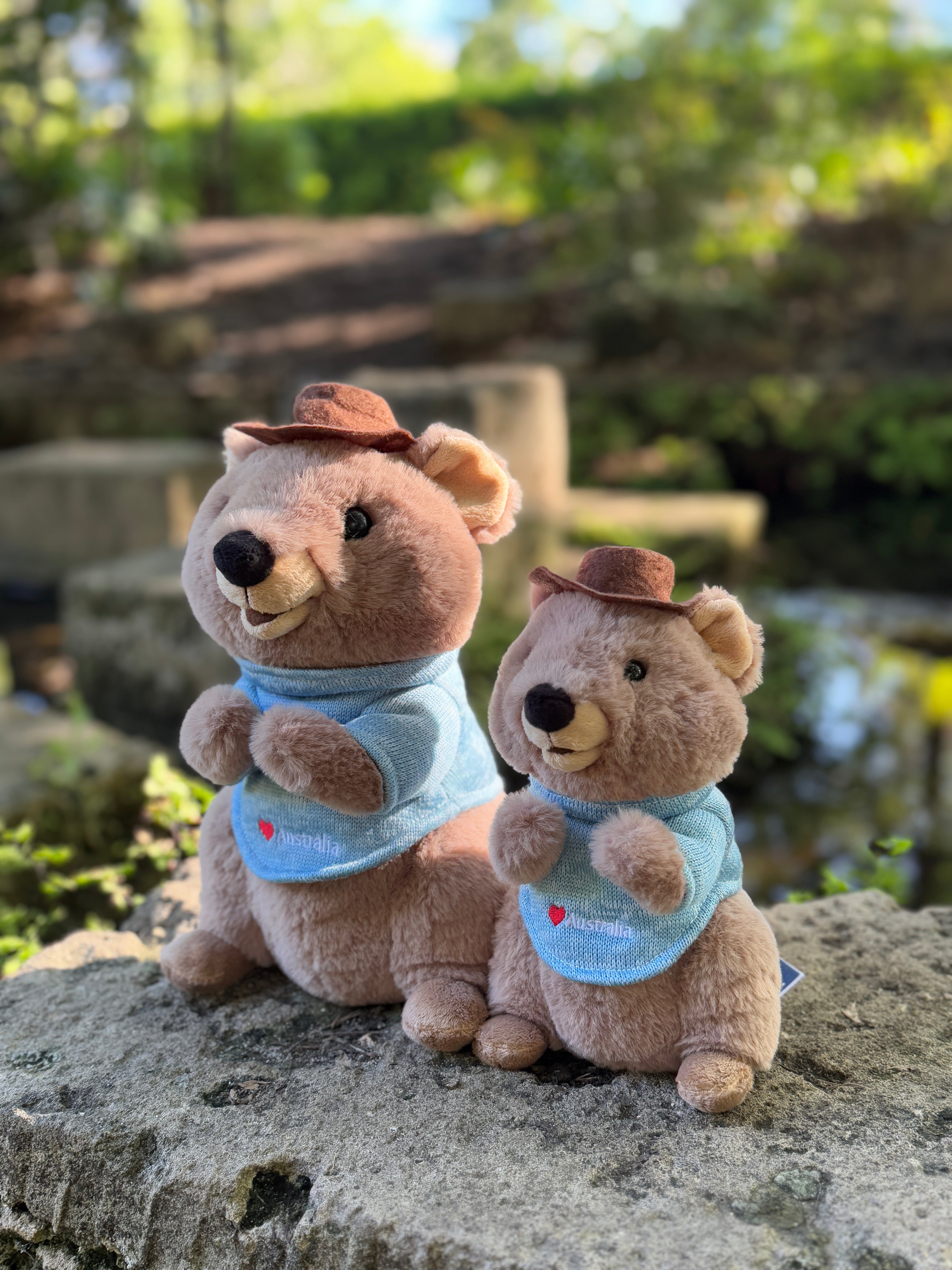 Mokka the Quokka - 25cm (Large)