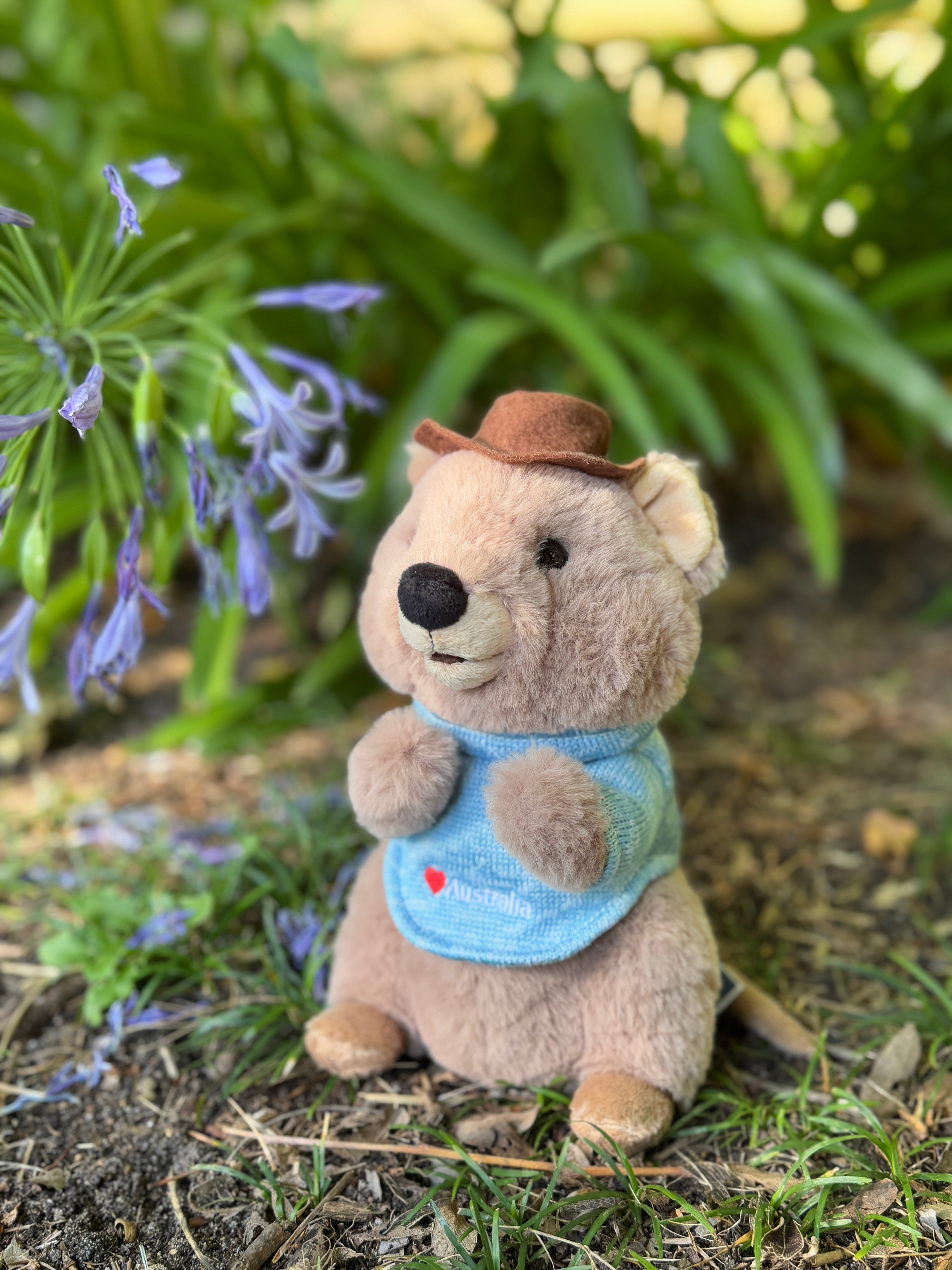 Charlie the Quokka - 20cm (Medium)