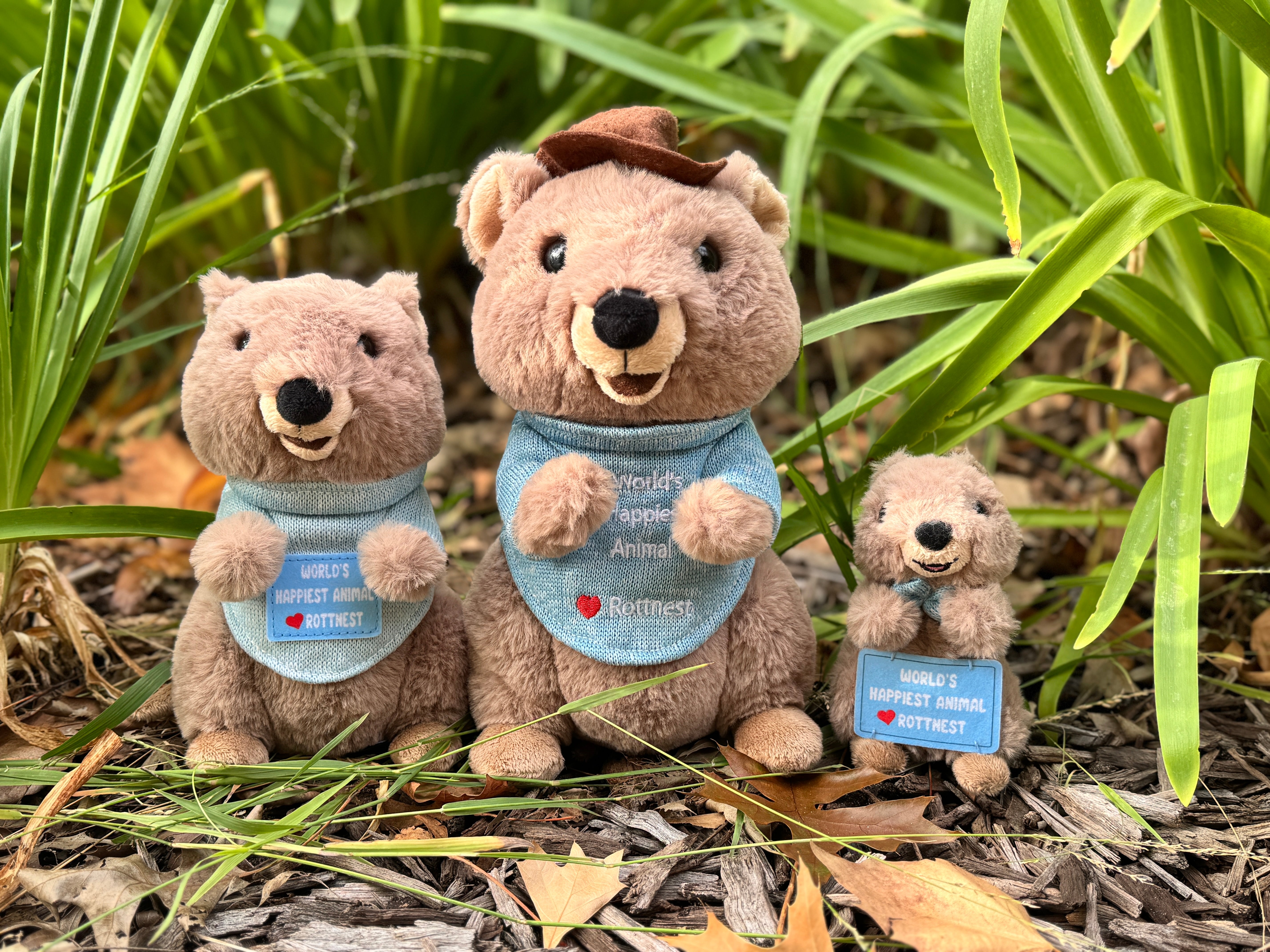 Zora the Quokka Keyring - 13cm