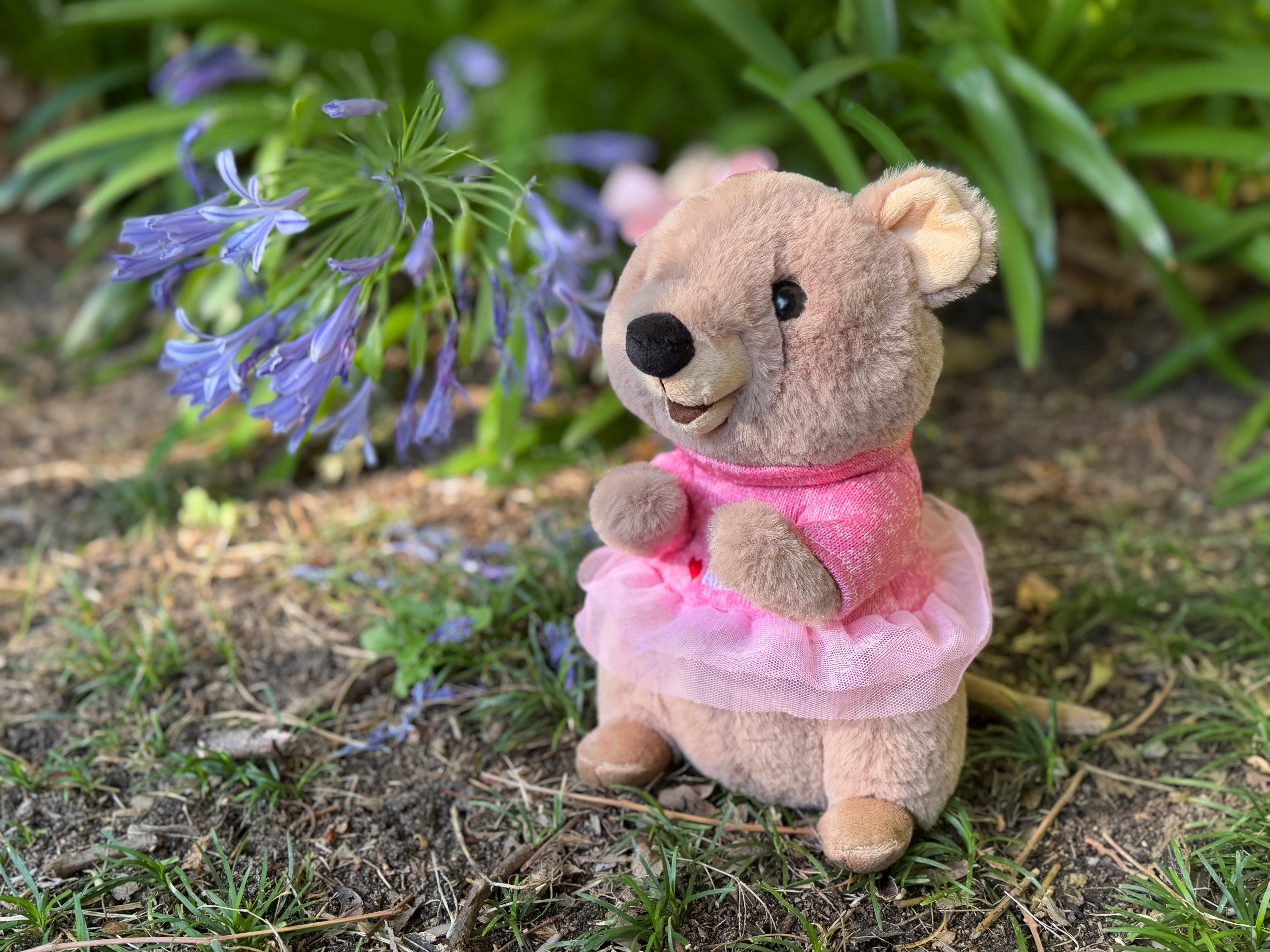 25cm Mikka the Quokka plush toy from Perth shown at a side angle – inspired by Rottnest Island’s happiest animal on Earth, a cute Australian souvenir.
