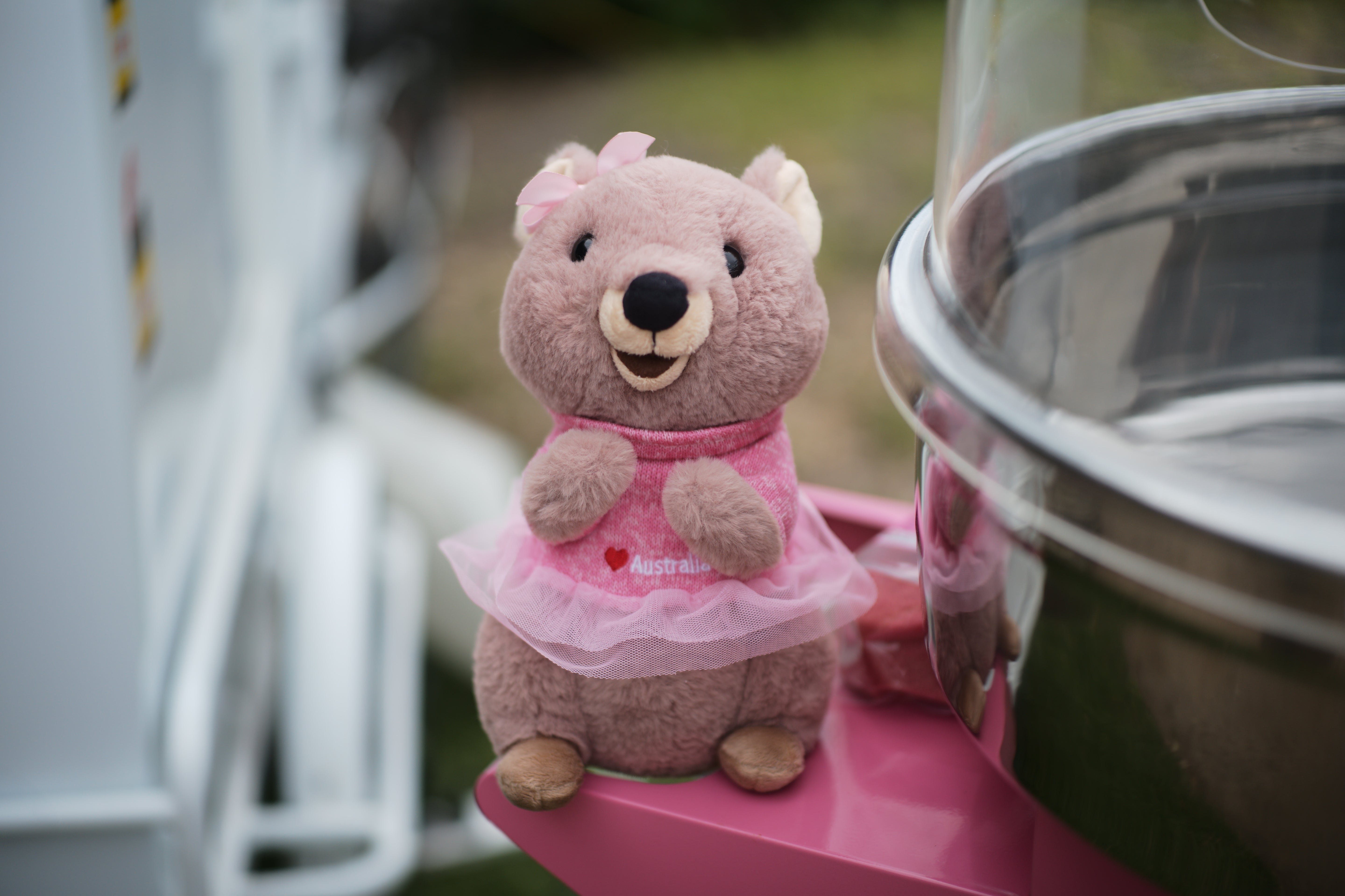 25cm Mikka the Quokka plush toys standing from Perth, Western Australia – cute Rottnest Island Quokkas, smiling Australian animal plush toys and perfect Perth souvenirs.