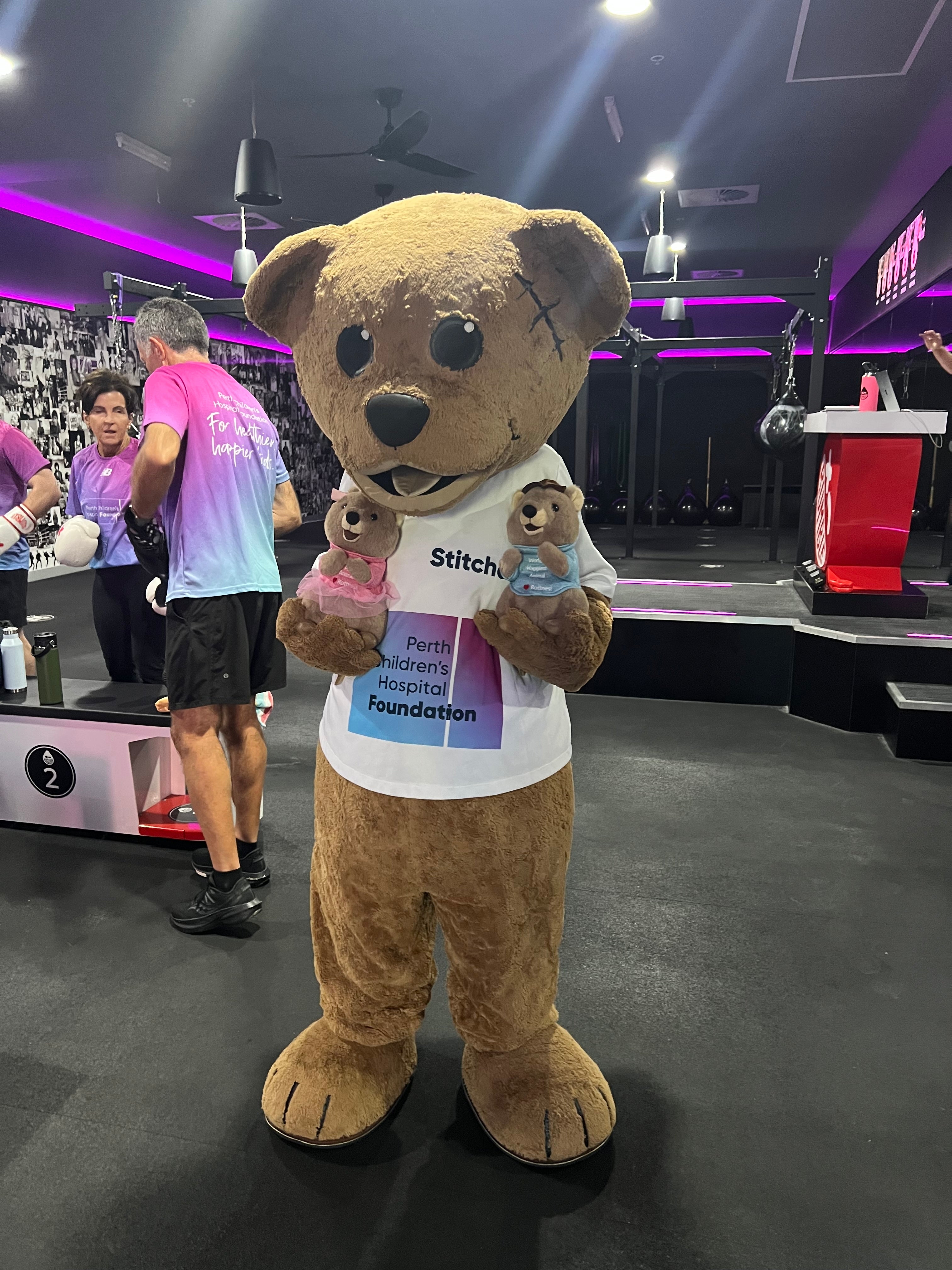 Rottnest Quokka Perth Childrens Hospital Foundation