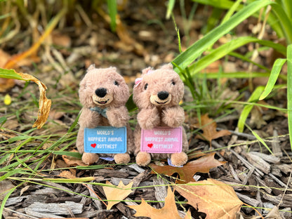Boy and girl Quokka keyrings from Perth displayed in a garden setting – inspired by Rottnest Island Quokkas, the happiest animals on Earth and beloved Australian marsupials, perfect WA souvenirs and travel gifts.