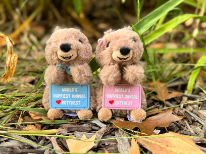 Boy and girl Quokka keyrings from Perth displayed in a garden setting – inspired by Rottnest Island Quokkas, the happiest animals on Earth and beloved Australian marsupials, perfect WA souvenirs and travel gifts.
