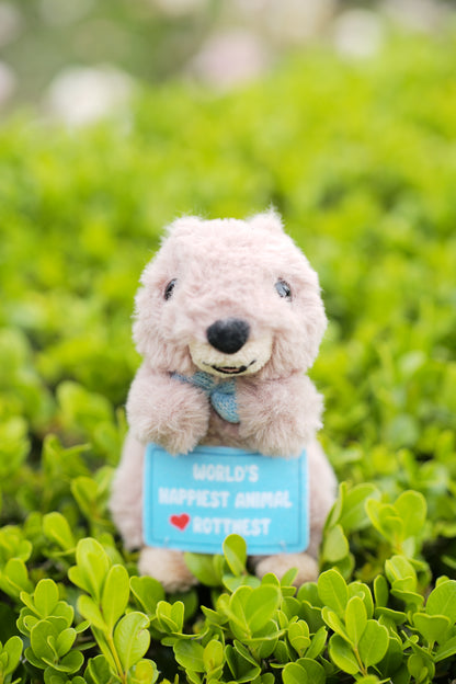 13cm Zora the Quokka keyring from Perth inspired by Rottnest Island’s happiest animal on Earth – adorable Australian plush souvenir from Western Australia.
